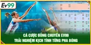 Cá cược bóng chuyền Ev99 – Trải nghiệm kịch tính từng pha bóng