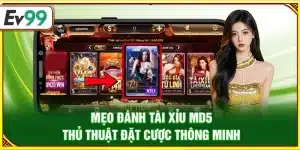 Mẹo đánh Tài Xỉu MD5 – Thủ thuật đặt cược thông minh
