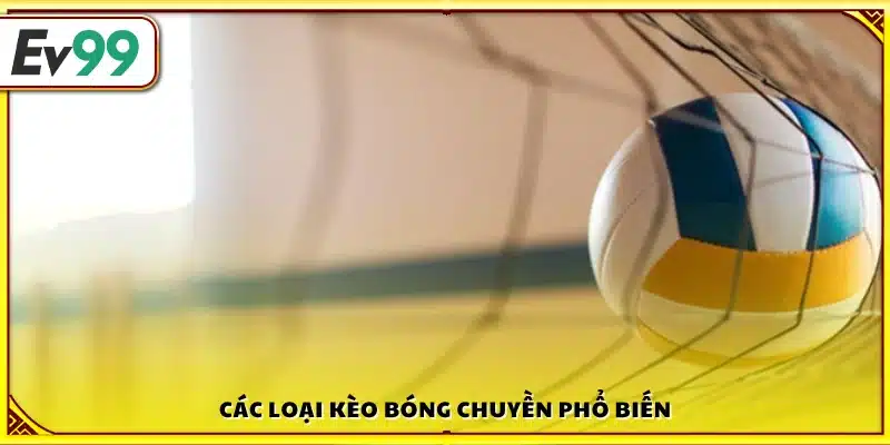 Nhiều kèo bóng chuyền quen thuộc