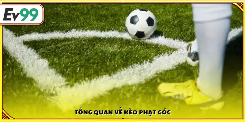 Giới thiệu chung về kèo phạt góc